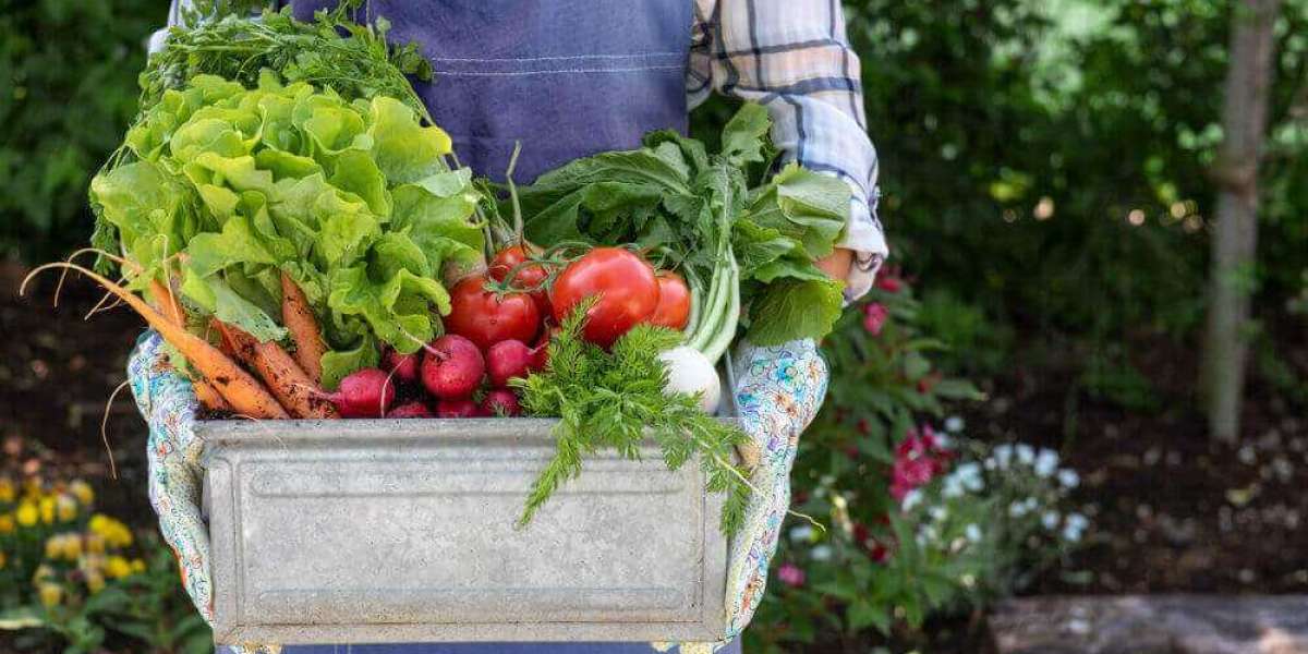 Advantages of Ordering Organic Groceries Online in Mumbai