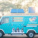 Pet Vanity Profile Picture