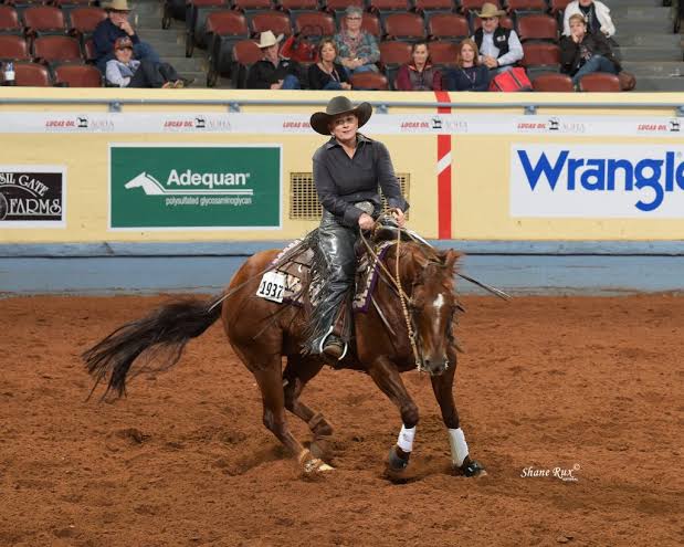 Francisco Antonio Convit Guruceaga Start Horse Breeding Farm For Beginners -