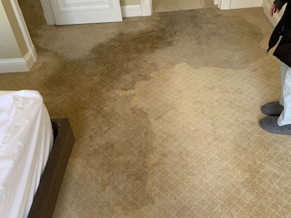 Water Damage Carpet Cleaning, Drying and Restoration in Melbourne & Suburb