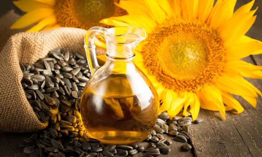 Wholesale Sunflower Oil Manufacturer and Supplier in USA
