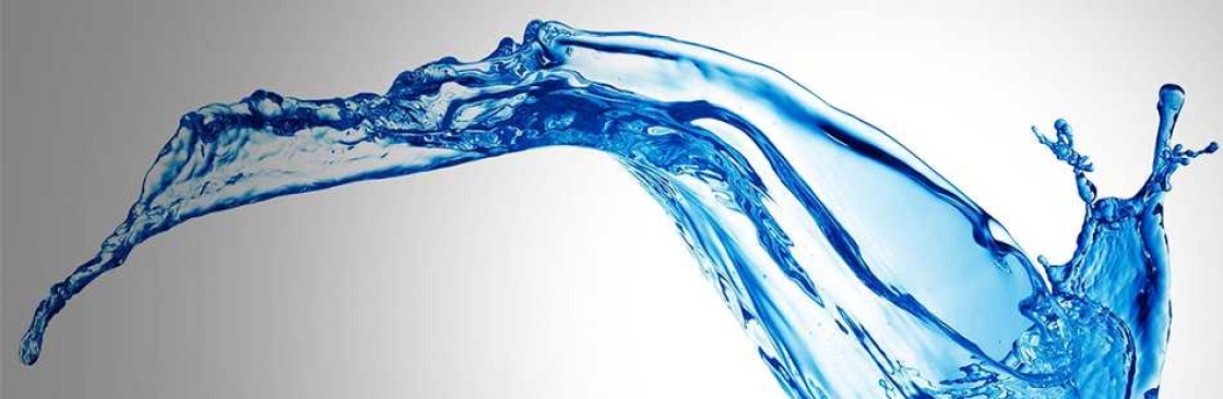 Chemfree Systems Inc Cover Image