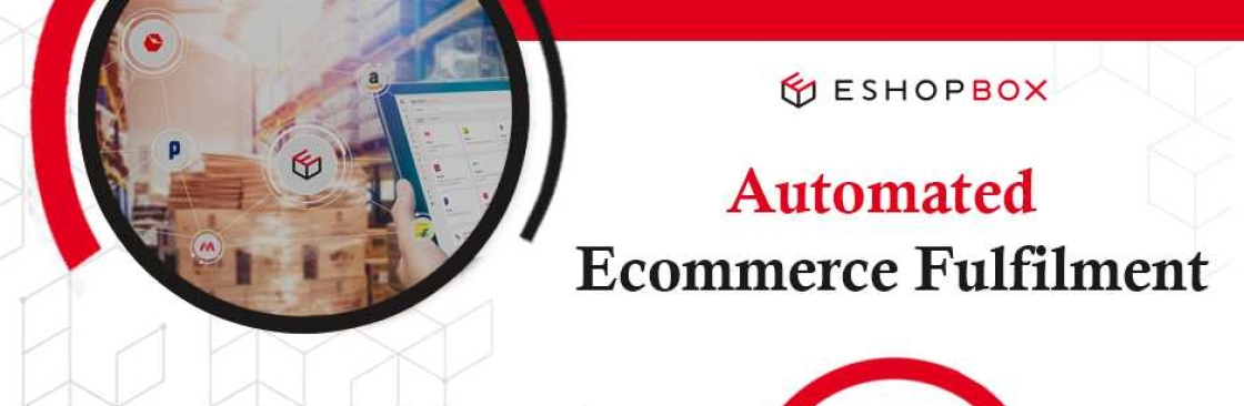 Eshopbox Ecommerce Pvt Ltd Cover Image