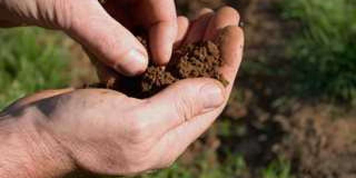 Potting Soil