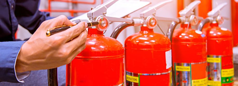 Lone Star Fire First Aid Cover Image