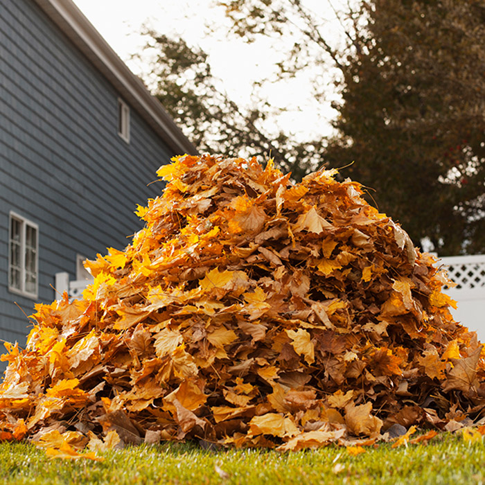 Yard Waste Removal Kelowna - Junk N Go