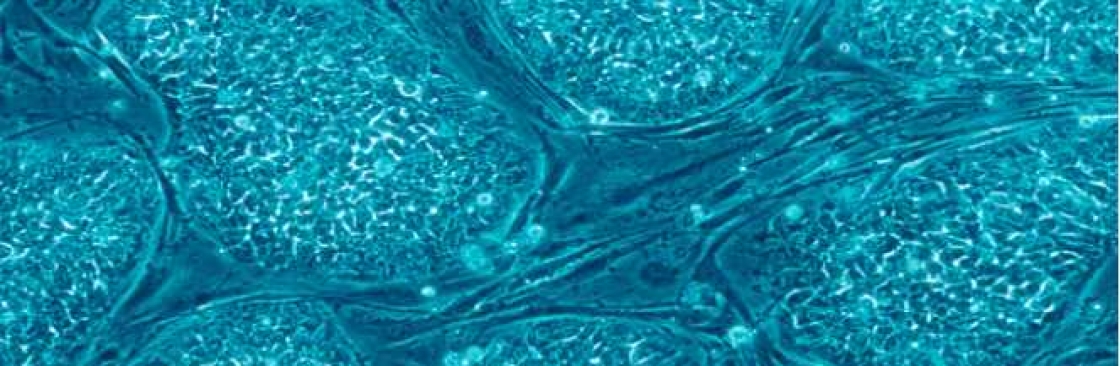 Stem Life Cover Image