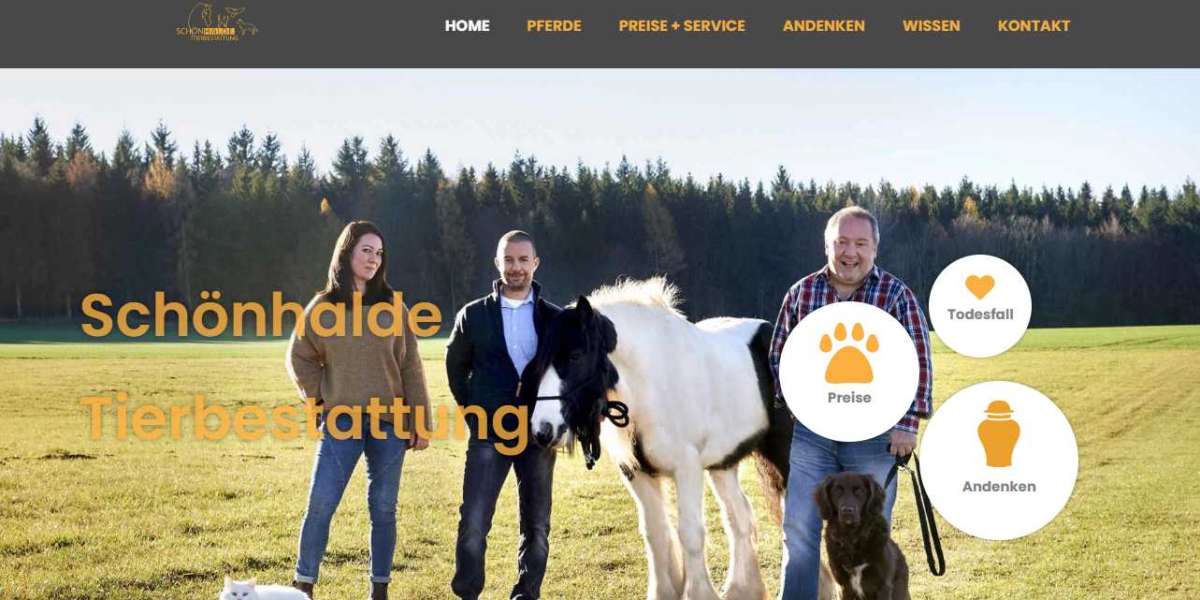 Unveiling a Trusted Online Platform