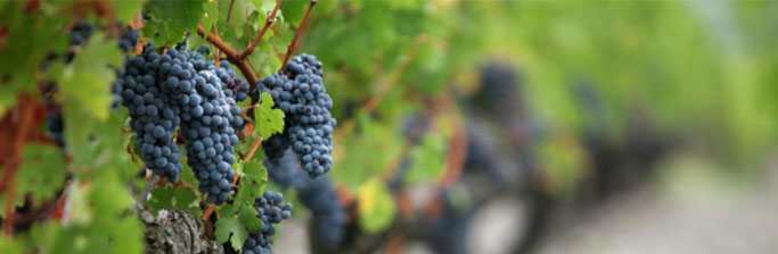 Global Wine Trade Cover Image