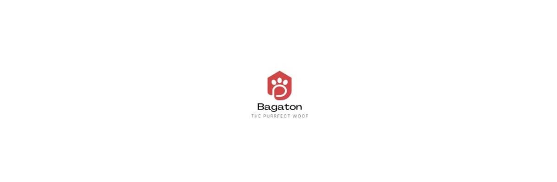 BagaTon Cover Image