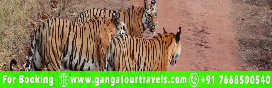 Ganga Tour Travels Cover Image