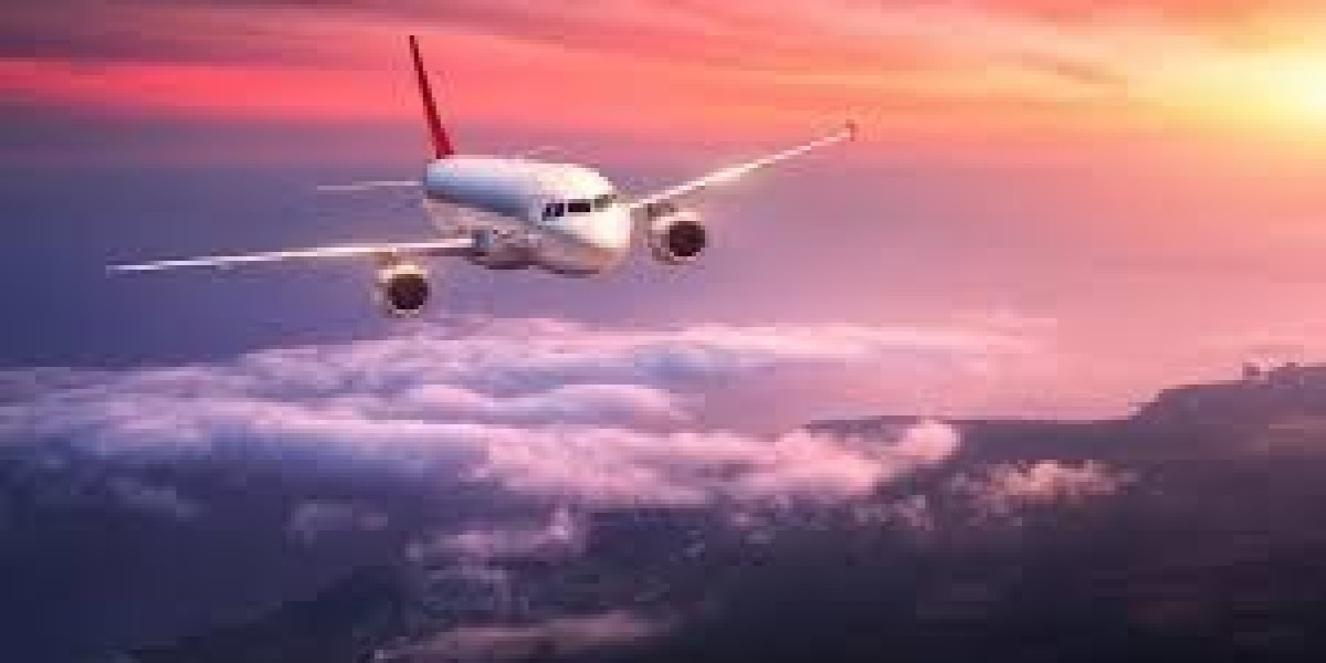 Spirit Airlines Unaccompanied Minor