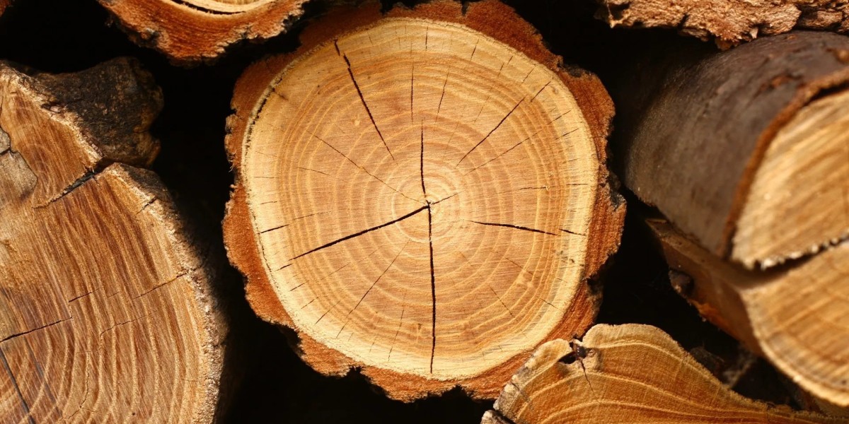 Why Is Stump Grinding Important For Trees?