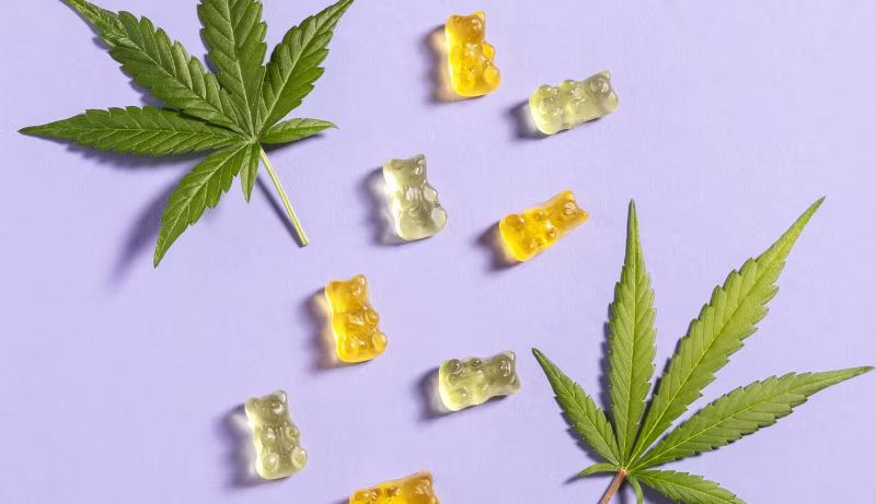 Hemp Labs CBD Gummies {Reviews Alert 2023} | Benefits, Is HempLabs CBD Gummies Safe? Hemp Bomb CBD Gummies Warning