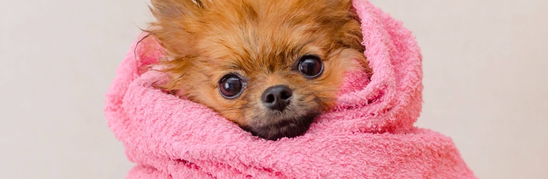 Hello Pets Inc Cover Image