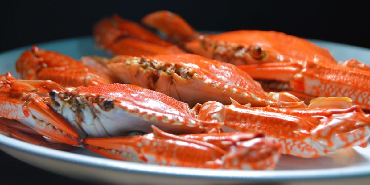 3 Tasty Easy To Make Crab Recipes