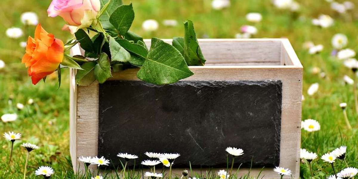 The 10 most powerful flowers and their symbolic meanings