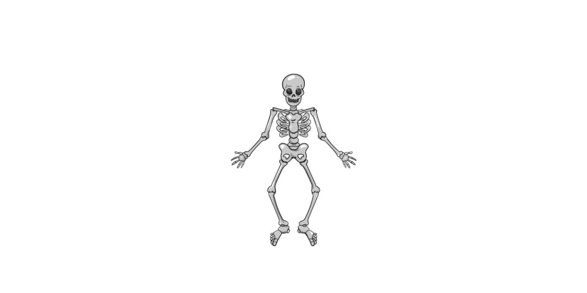 How to Draw A Skeleton Easily