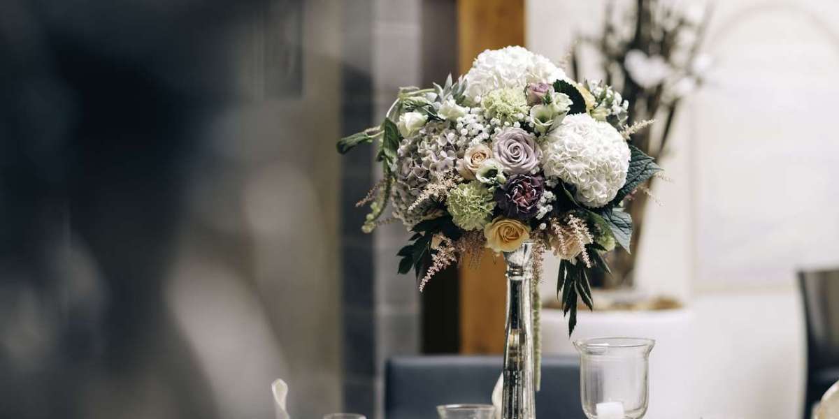 Indoor Flowering Plants Even Beginners Can Keep Alive