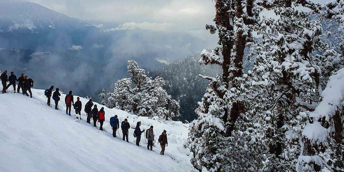 Brahmatal Trek: A Winter Wonderland Adventure Through the Himalayas