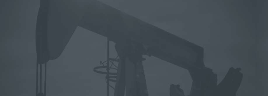 Clarke Energy Fund Management Cover Image