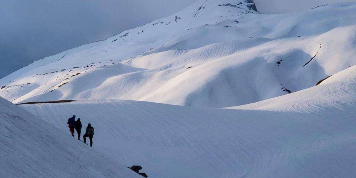 Pangarchulla Expedition: A Himalayan Trekking Challenge