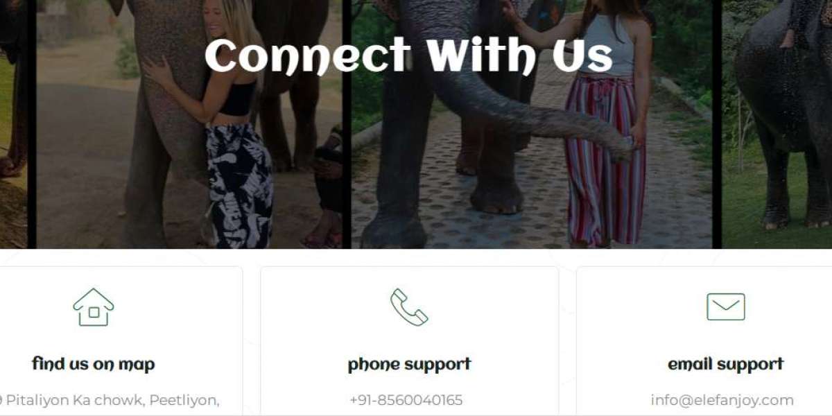 Embarking on an Elephant Tour: A Majestic Journey into the Wild