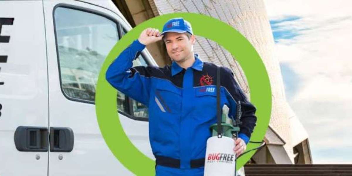 Pests Can Make Your Business Area Unsafe: Get Them off Your Area