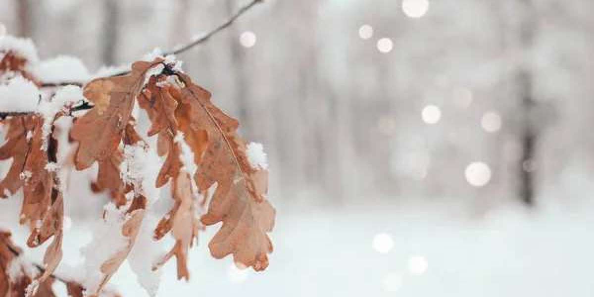 Whispers of Autumn: A Tale of Falling Leaves Captured