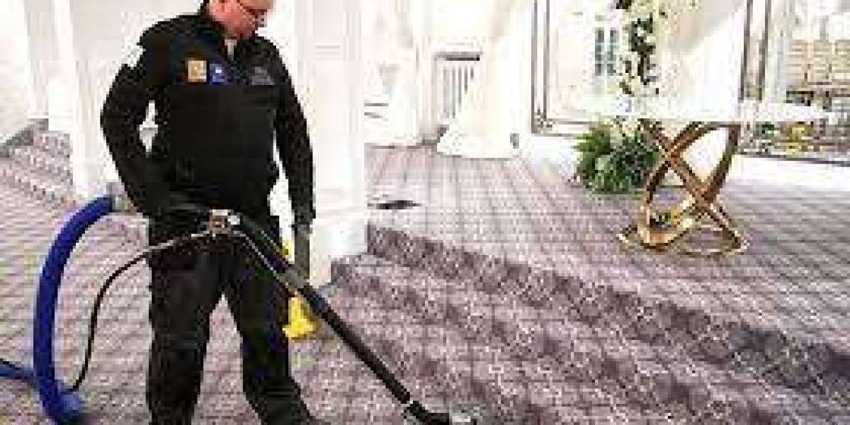 The Ultimate Guide to Eco-Friendly Carpet Cleaning and Its Many Benefits