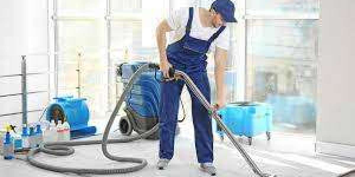 The Power of Professional Carpet Cleaning Services Revealed