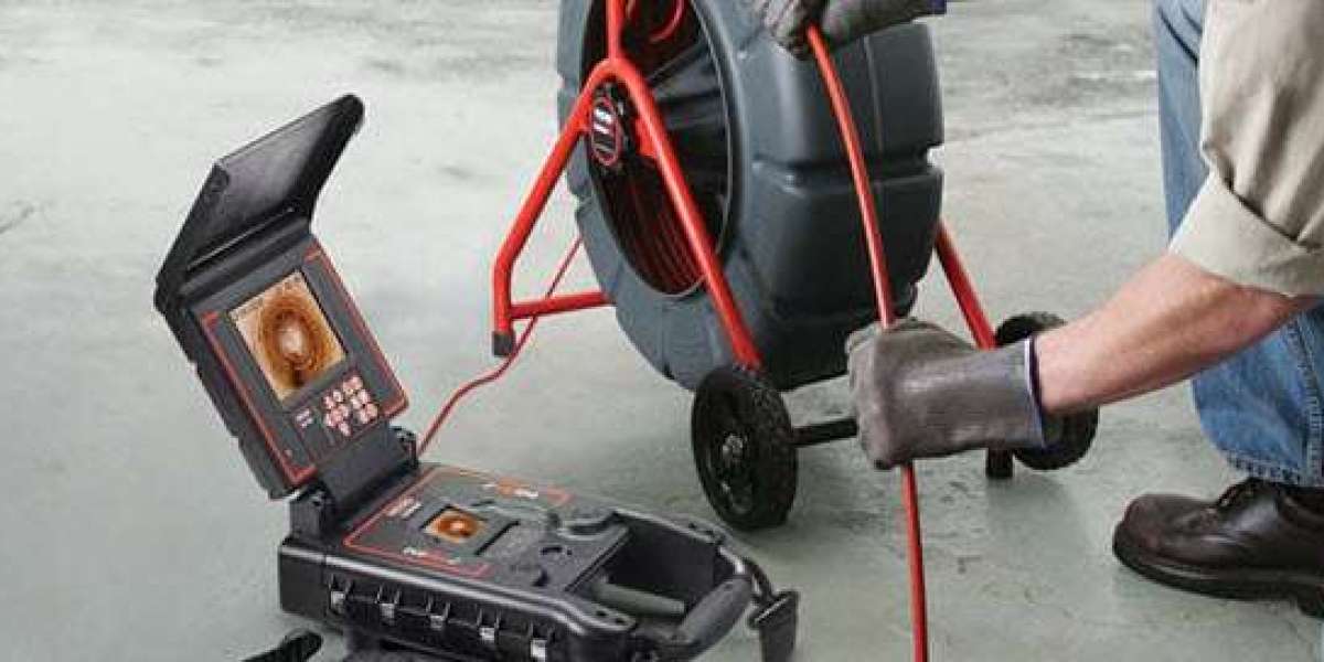 What Is the Importance of Mice Removal Services?