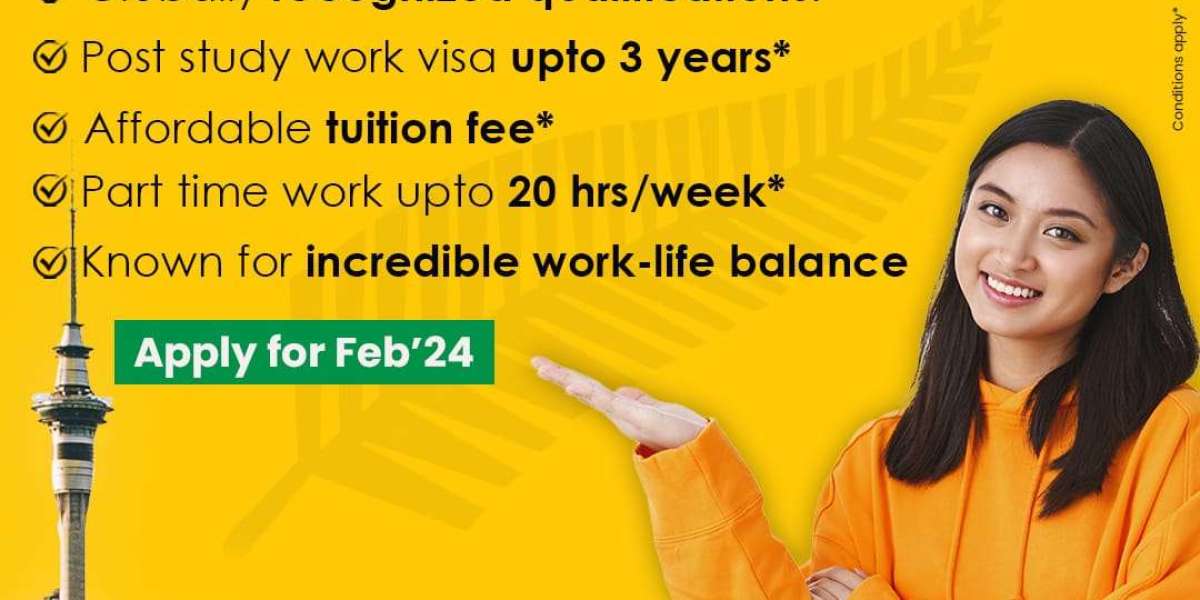 Study in NEW Zealand Consultants in Hyderabad