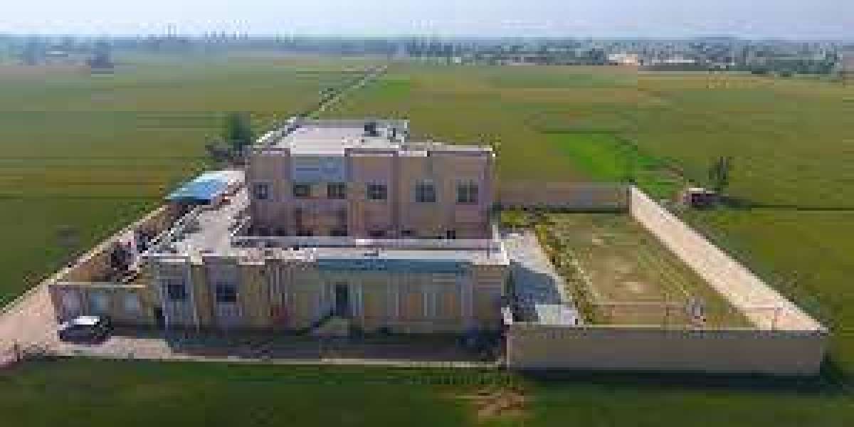 Finding Freedom: De-Addiction Rehabilitation Centre in Ludhiana