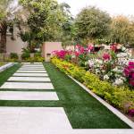 basmet alryad Profile Picture