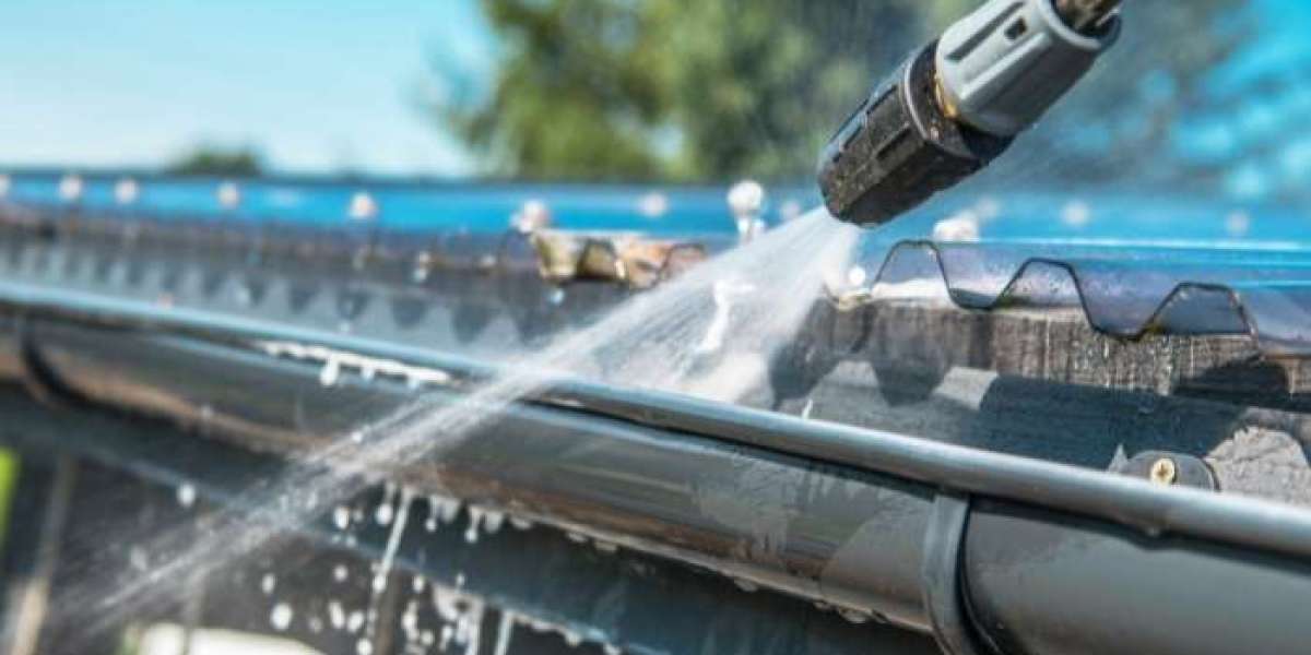 Roof Cleaning Services