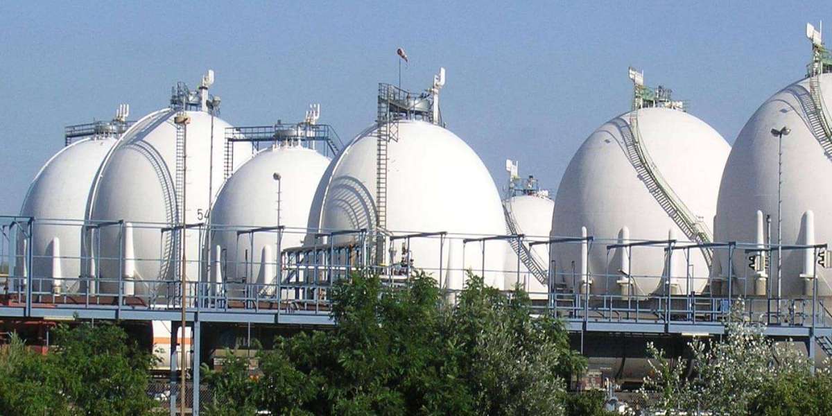 Investment Potential and Risk Assessment in the Underground Natural Gas Storage Market
