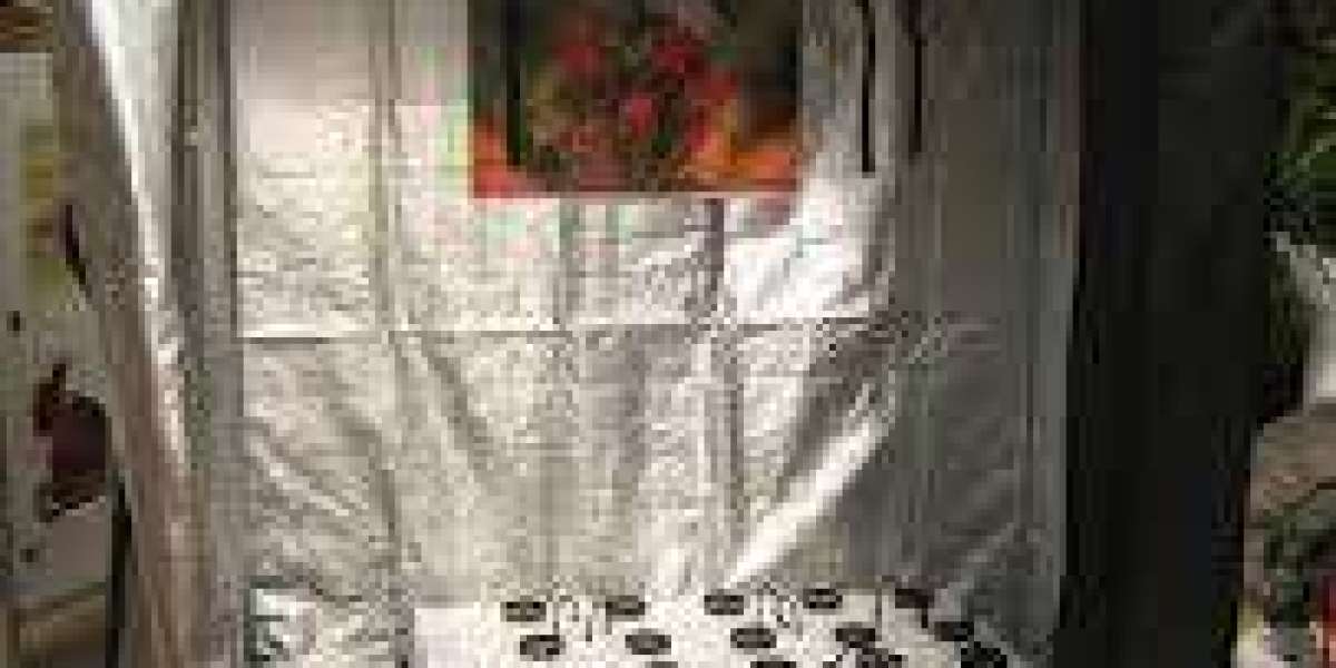 The Ultimate Guide to Grow Box Kits: Your Path to Indoor Gardening Success