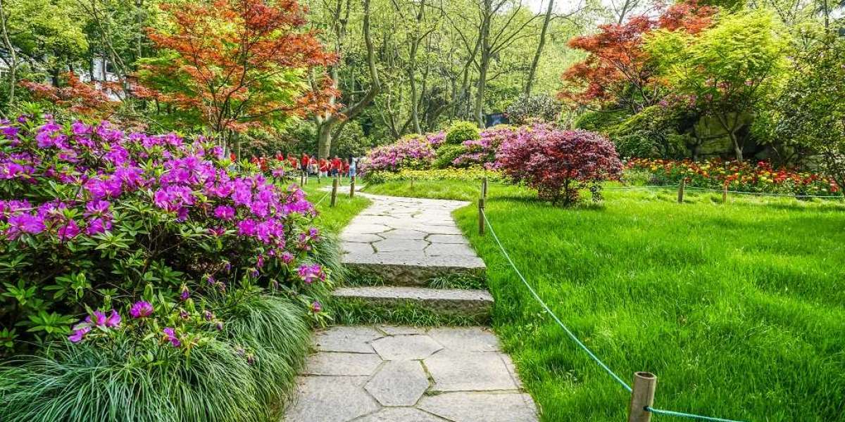 Improve Air Quality with Skilled Landscape Gardeners Melbourne