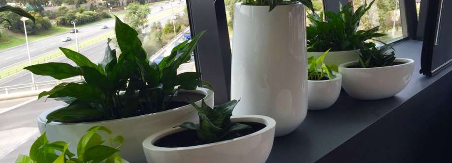 Luwasa Indoor Plant Hire Cover Image