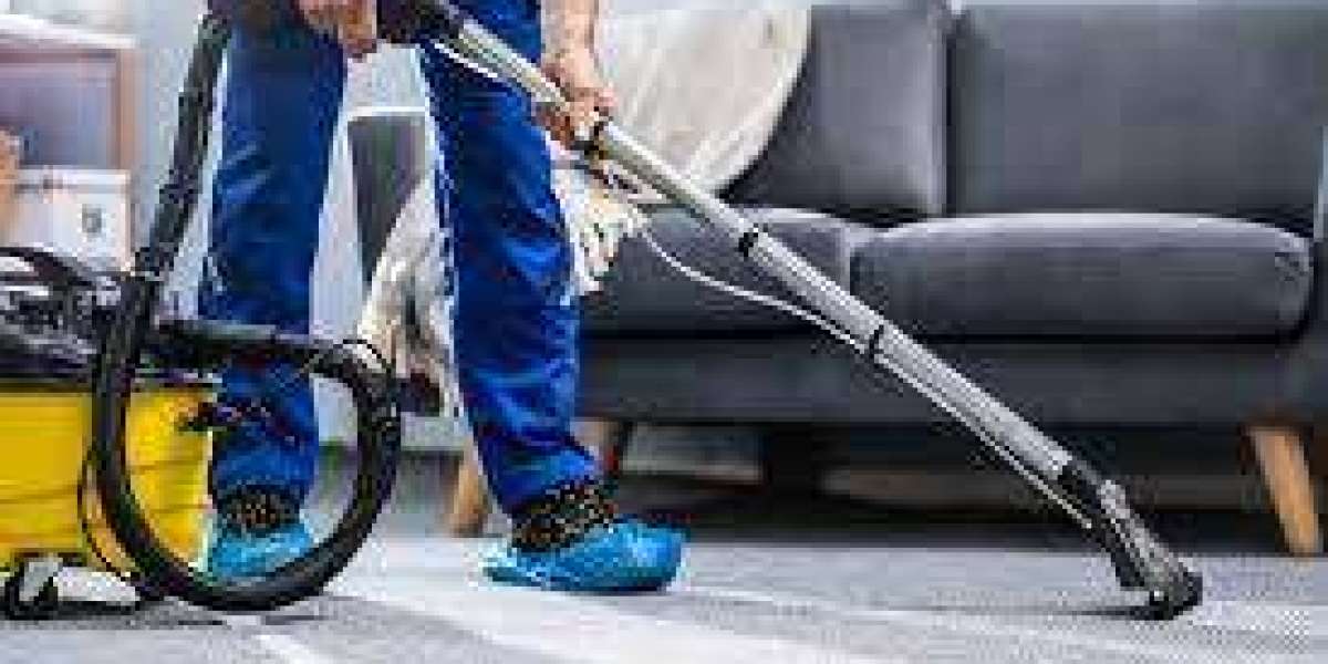Discover the Difference of Professional Carpet Cleaning Services