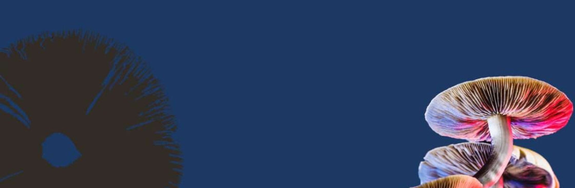 Blue Stem Spores Cover Image