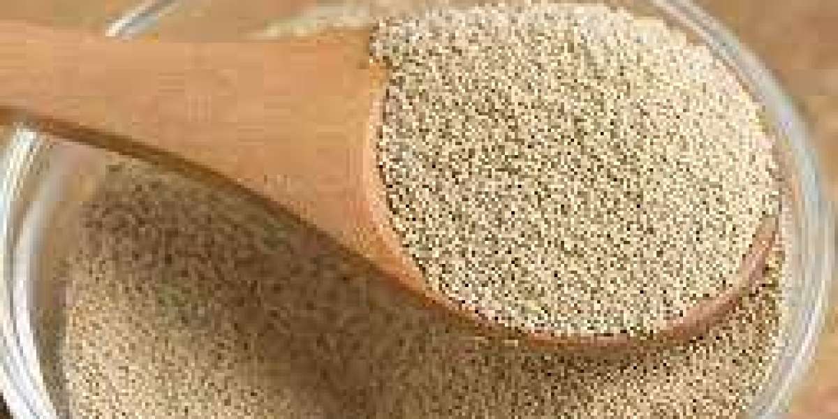 Yeast Manufacturing Plant Report, Project Details, Requirements and Costs Involved