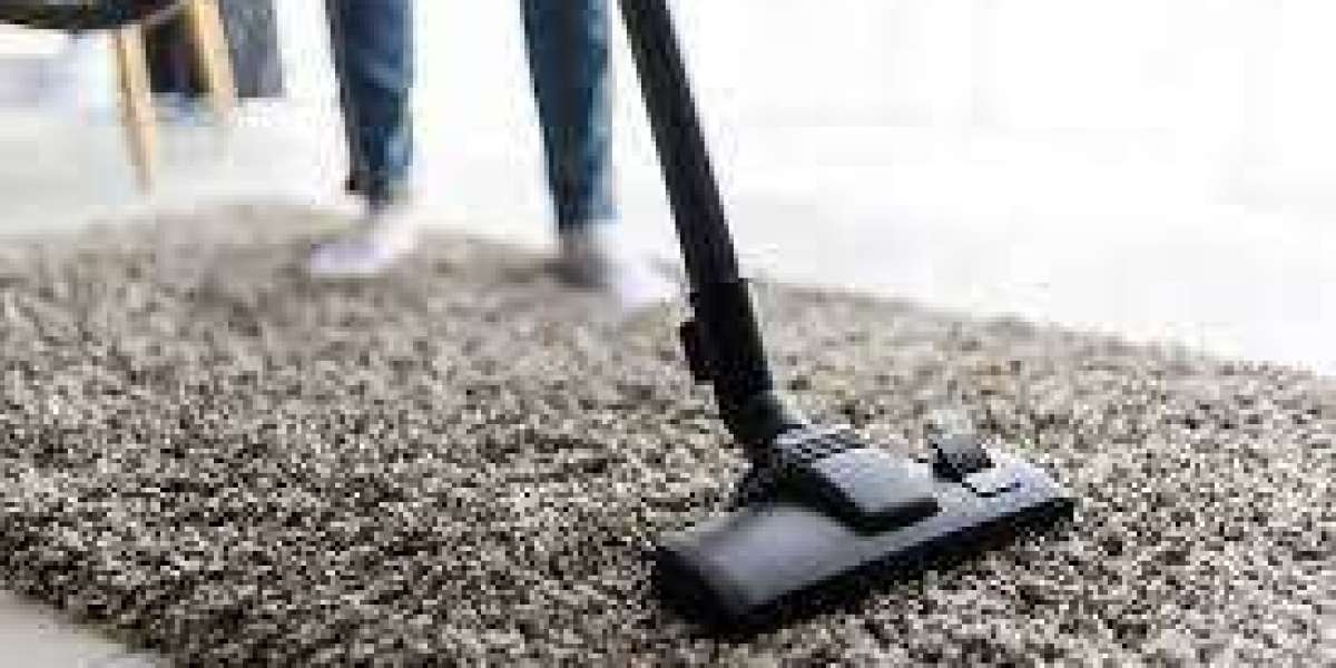 Step Into Clean: Professional Carpet Cleaning Services That Transform