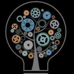 Zainab Zia Profile Picture