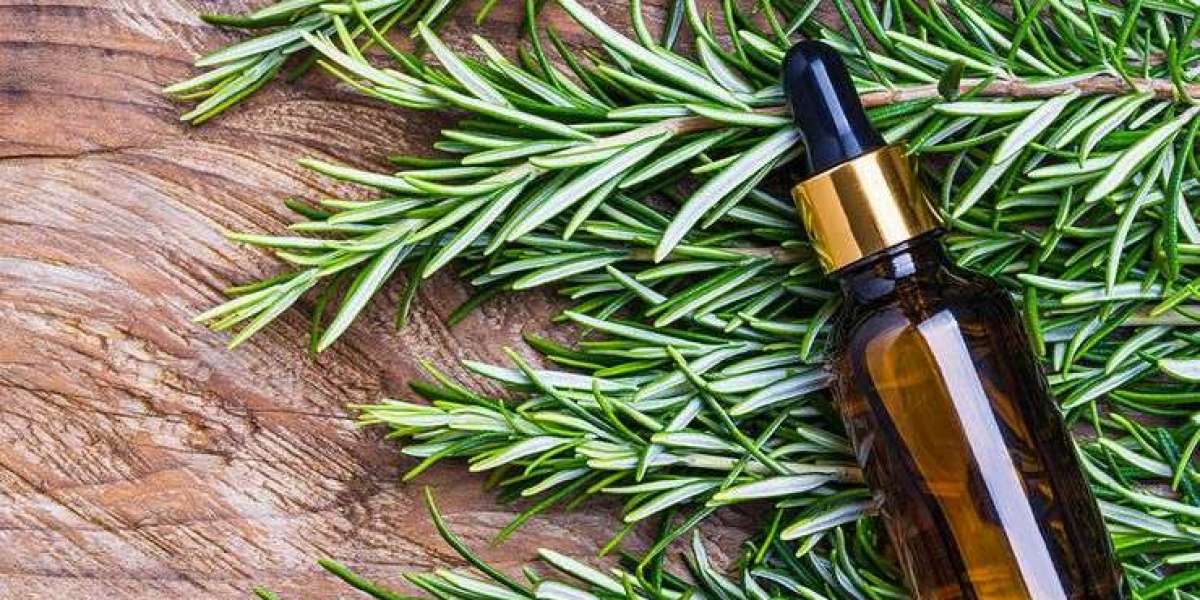 Holistic Wellness: Exploring the Healing Power of Rosemary Oil and Its Recipes