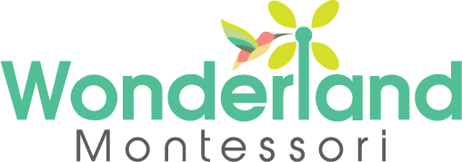 "Montessori School in Las Colinas: A Path to Lifelong Learning"