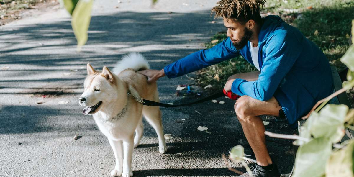 Understanding Basic Etiquette As A Dog Owner