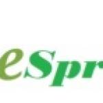 ArticleSpringer Profile Picture