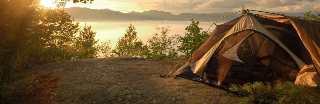 Jose Wills Cover Image